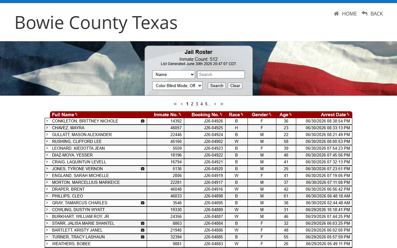 Bowie County jail roster search fields and inmate records table